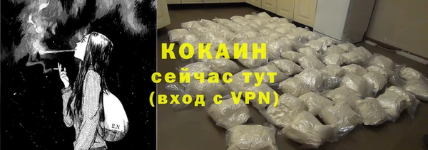 крисы Абаза