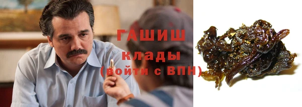 крисы Абаза