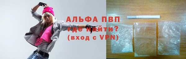 крисы Абаза