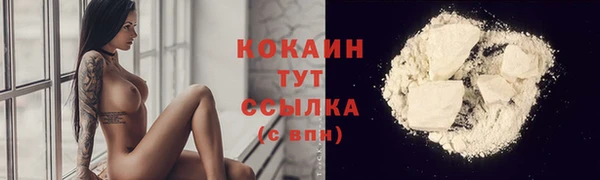 крисы Абаза