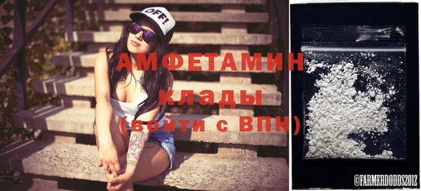 крисы Абаза