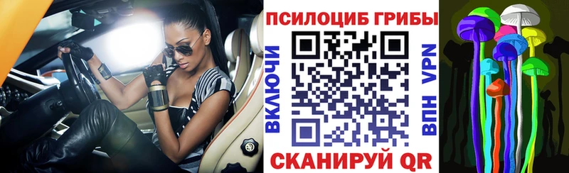 закладка Нижняя Тура ссылка на мегу ссылка Псилоцибиновые грибы MAGIC MUSHROOMS
